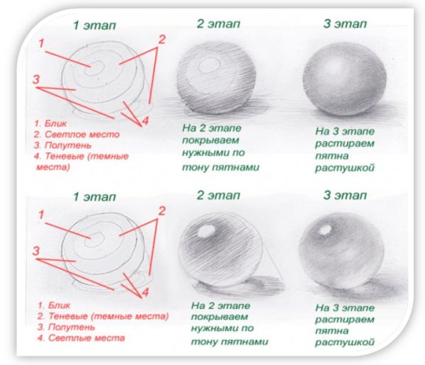Блик тень полутень рефлекс в рисунке