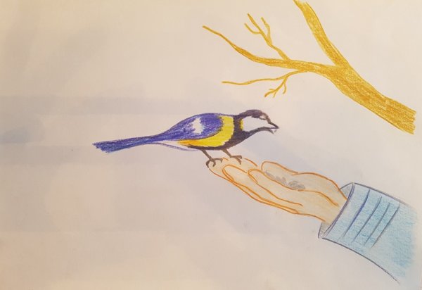 Художник Эндрю Хатчинсон воробьи вышивка