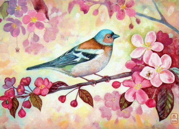 Птицы цветными карандашами