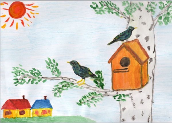 Зарисовки птичек