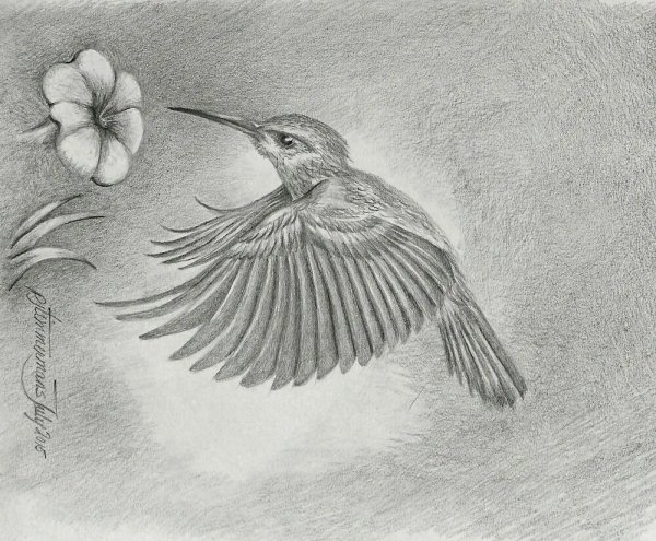 Птица в полете