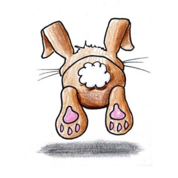 Лапки зайки