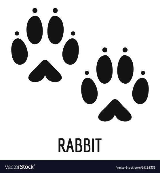 Лапки зайчика