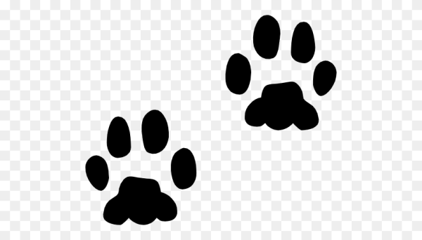 Следы зайца