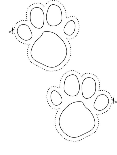 Отпечаток лапы зайца