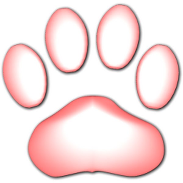 Ушки кролика референс