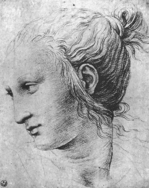 Рафаэль Санти анатомические картины