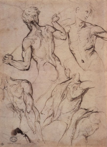 Рафаэль Санти Графика