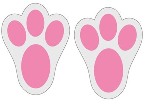 Мордочка и лапки зайчика