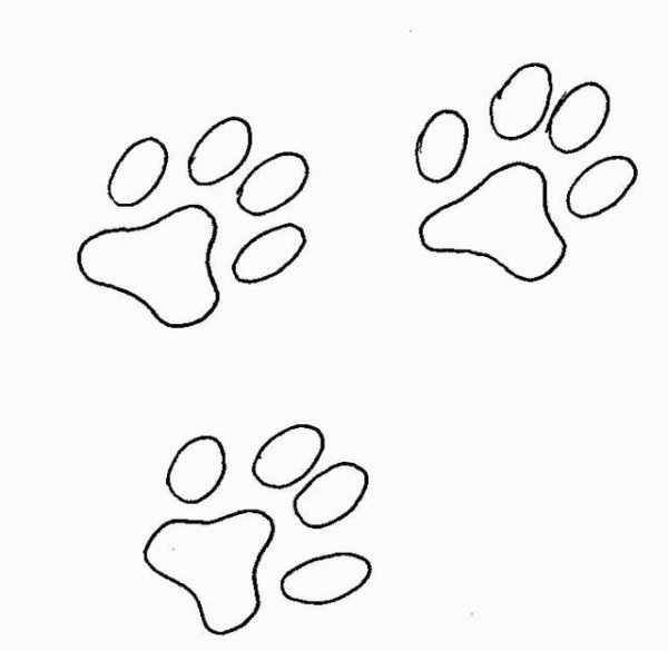 Зайчик спиной