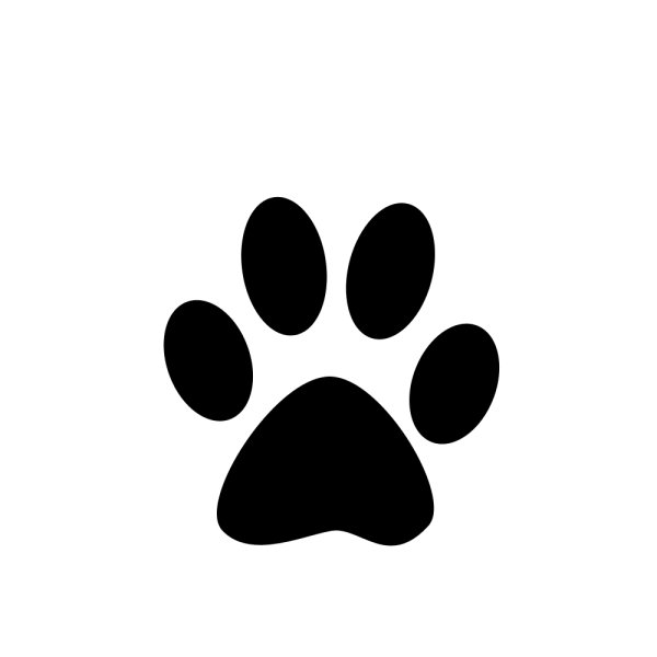 Отпечаток лапы зайца