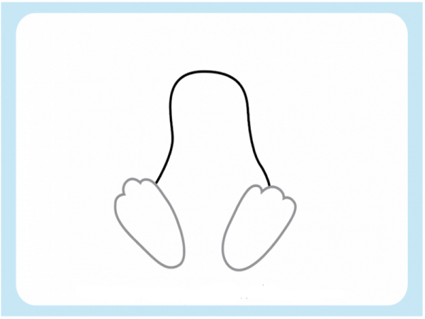 Следы животных на белом фоне