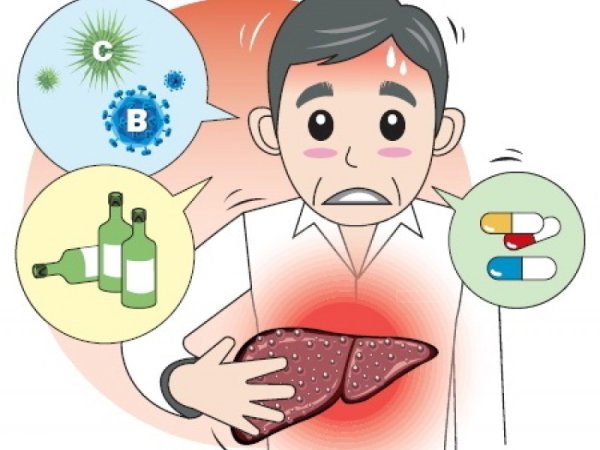 Профилактика цирроза