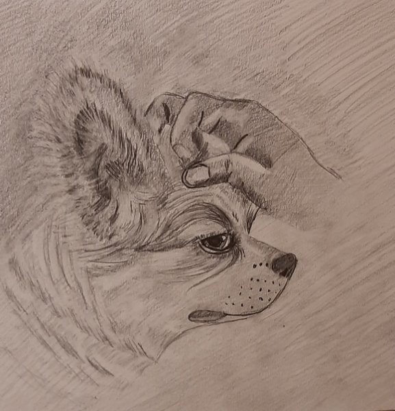 Картины Егора Анцупова