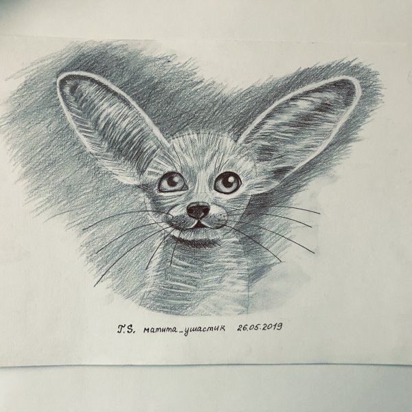 Егор Анцупов художник