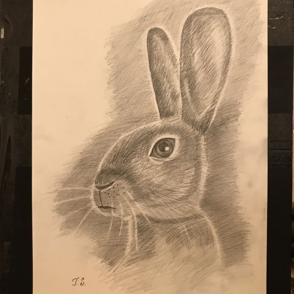 Владимир Епифанцев картины