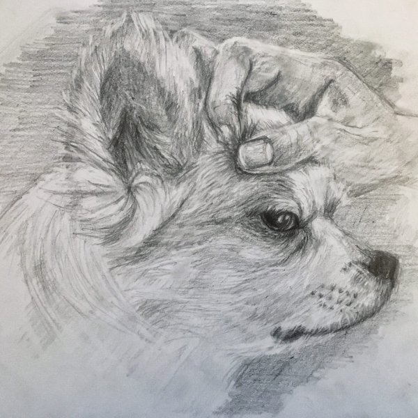 Егор Матита акварель