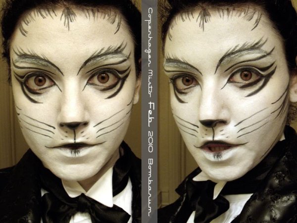 Грим из мюзикла кошки на лице