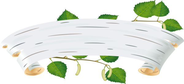 Фактура березы