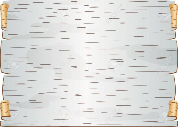 Кора березы текстура