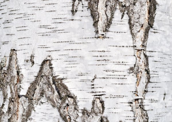 Peter Sheeler Watercolour