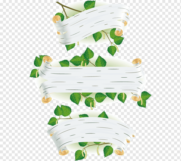 Береста кора березы