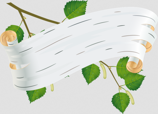 Береста кора березы чечевички