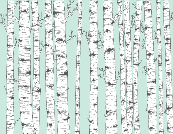 Береза векторный рисунок