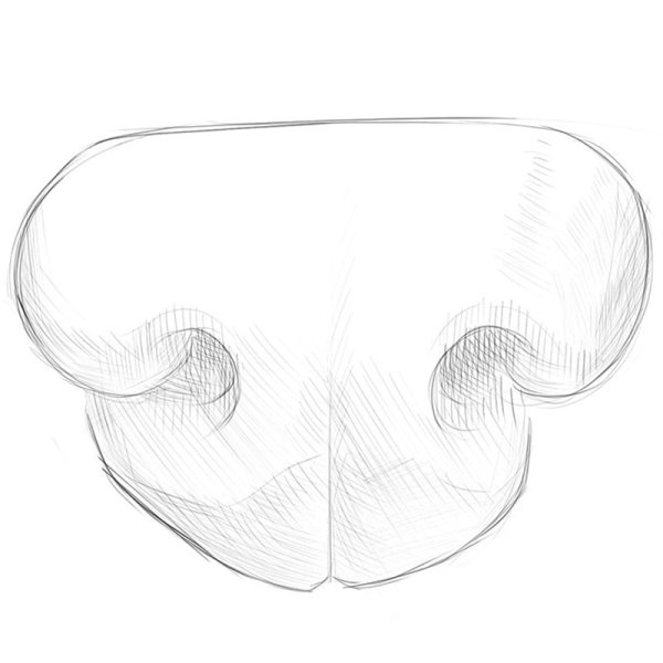 Собачий нос референс