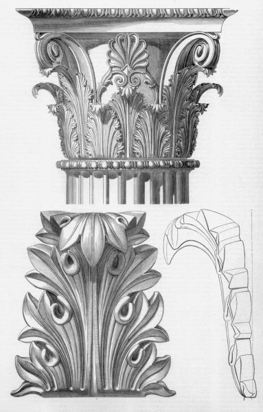 Коринфский ордер лист аканта