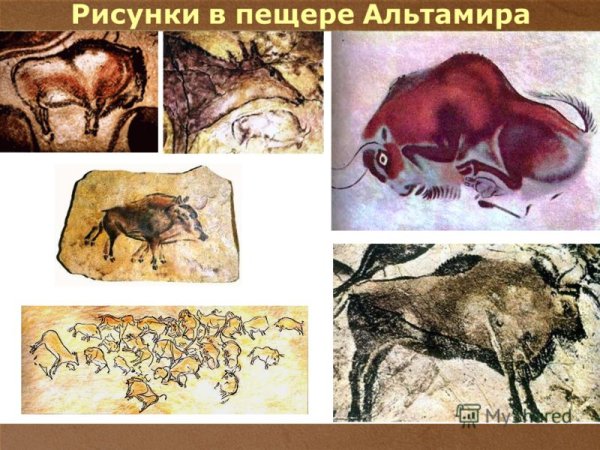 Раненый Бизон пещера Альтамира Испания