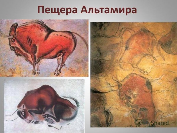 Первобытное искусство пещера Альтамира