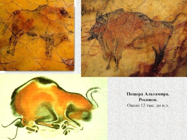 Фрагмент. Бизон. Пещера Альтамира. Испания.