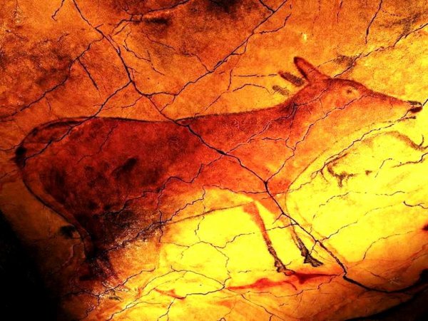 Пещера Альтамира Наскальная живопись