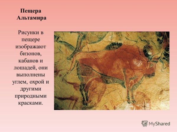 Бизон палеолит пещера Альтамира