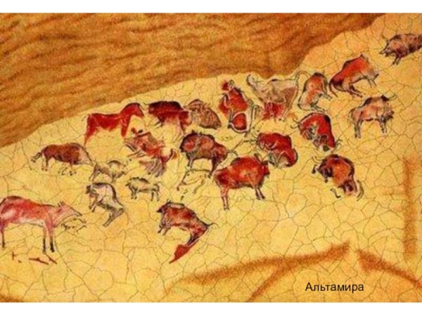 Пещера Альтамира в Испании