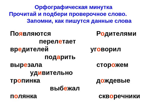 Проверочное слово и проверяемое слово