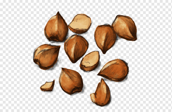 Орешек гречишных