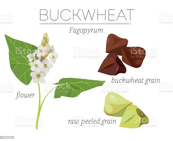 Значок гречка