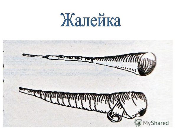 Нарисовать жалейку