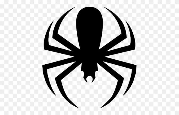 Черный паук на белом фоне