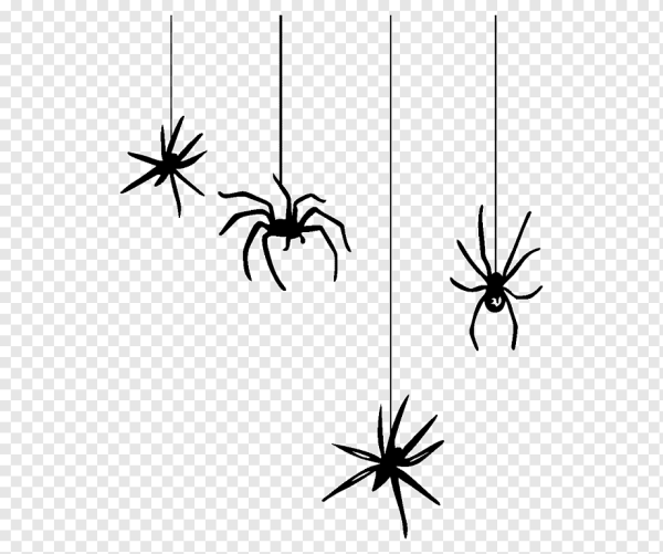 Паутина Спайдермена