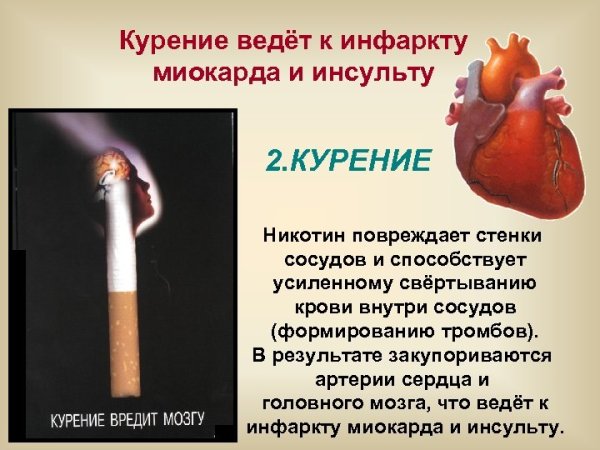 Курение ведёт к инфаркту миокарда и инсульту.