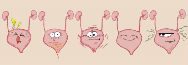 Мочевой пузырь мультяшный