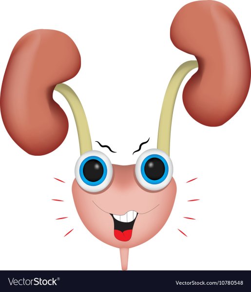 Почки мультяшное