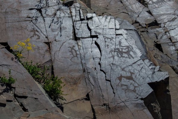 Петроглифы Тамгалы в Казахстане