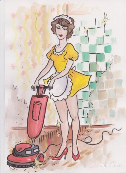 Смешная домохозяйка