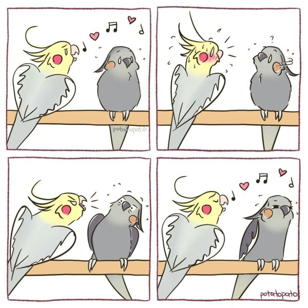 Комиксы про птиц