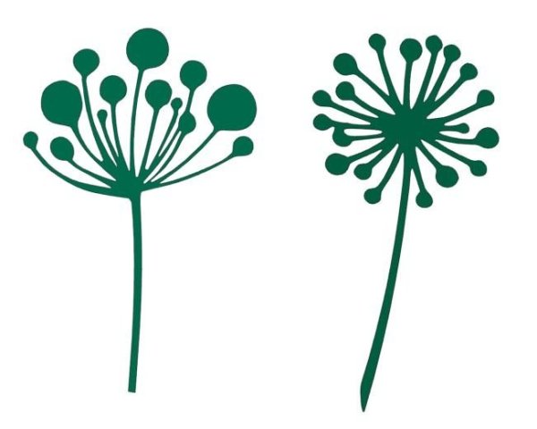 Изображение цветка курая