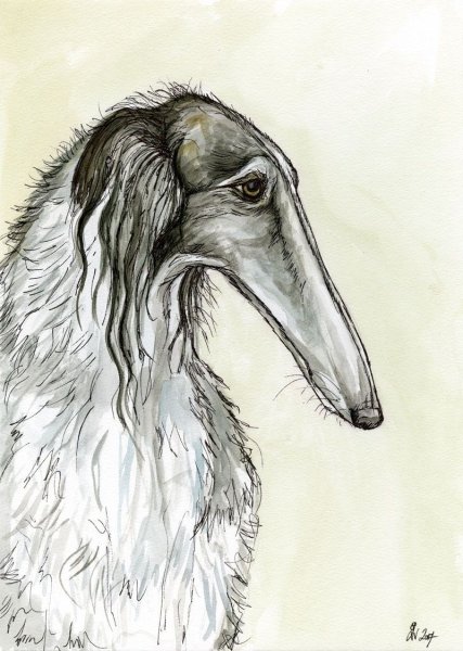 Русская псовая борзая арт